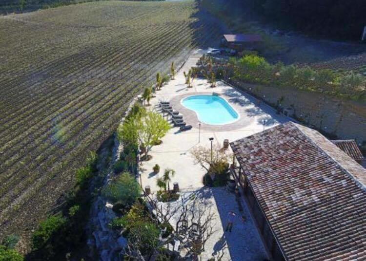 Agriturismo Tenute Pispisa Segesta Villa Calatafimi Kültér fotó