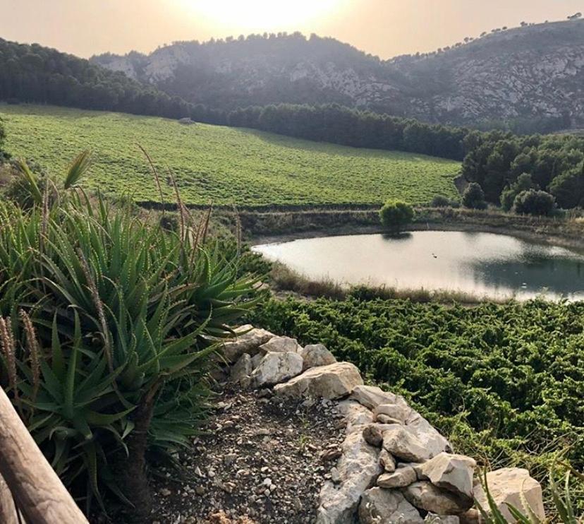 Agriturismo Tenute Pispisa Segesta Villa Calatafimi Kültér fotó