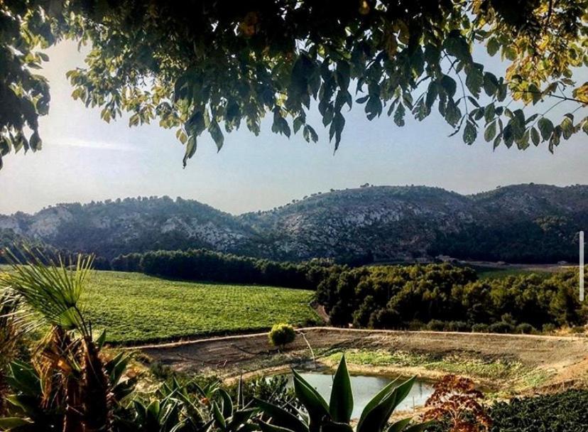 Agriturismo Tenute Pispisa Segesta Villa Calatafimi Kültér fotó