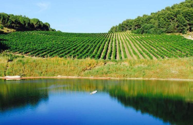 Agriturismo Tenute Pispisa Segesta Villa Calatafimi Kültér fotó