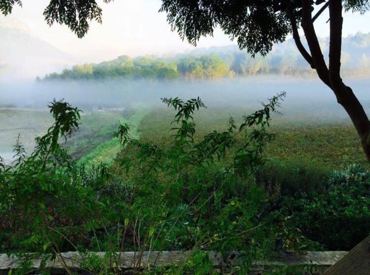 Agriturismo Tenute Pispisa Segesta Villa Calatafimi Kültér fotó