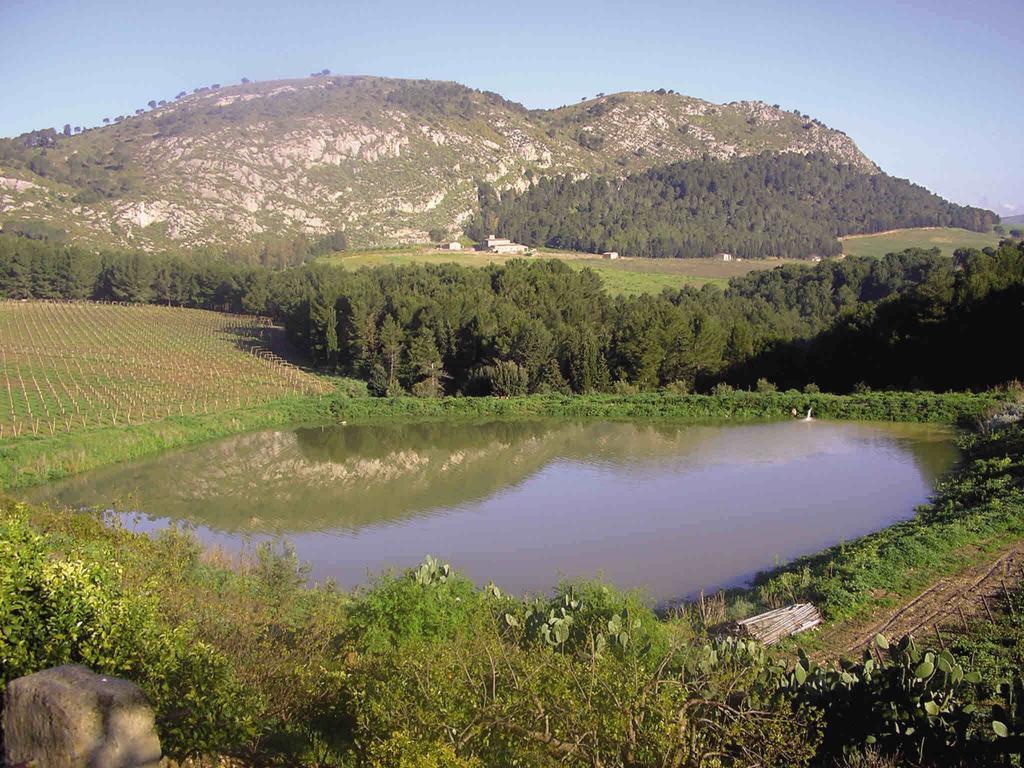 Agriturismo Tenute Pispisa Segesta Villa Calatafimi Kültér fotó