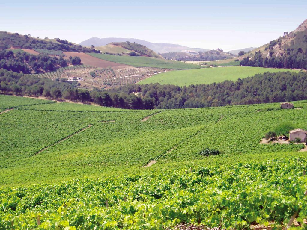 Agriturismo Tenute Pispisa Segesta Villa Calatafimi Kültér fotó