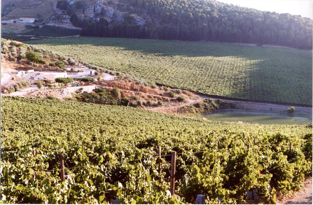 Agriturismo Tenute Pispisa Segesta Villa Calatafimi Kültér fotó