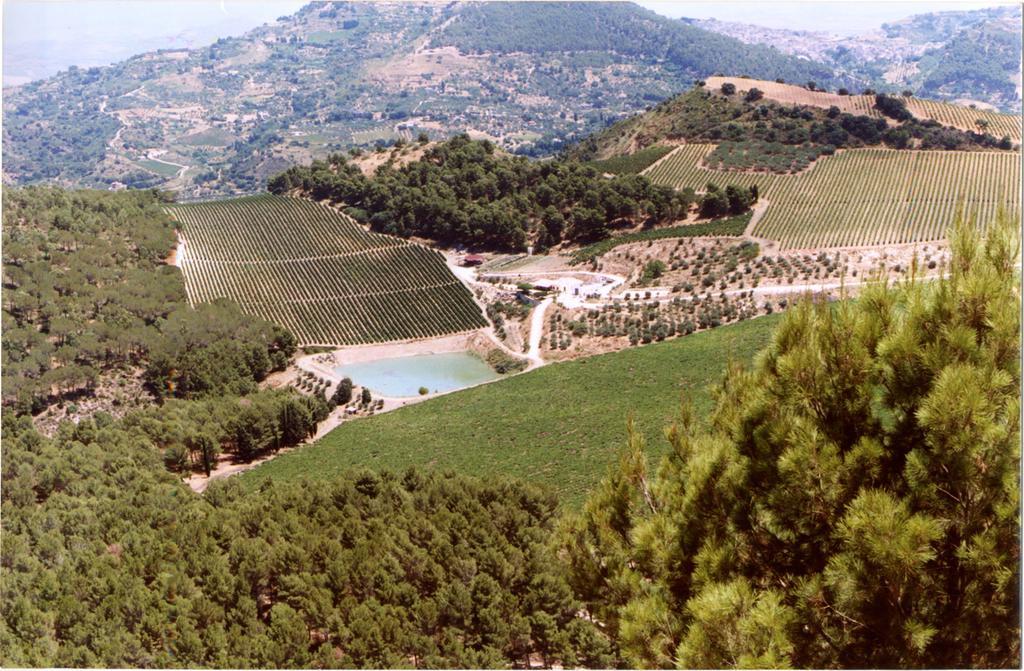 Agriturismo Tenute Pispisa Segesta Villa Calatafimi Kültér fotó