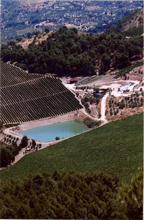 Agriturismo Tenute Pispisa Segesta Villa Calatafimi Kültér fotó