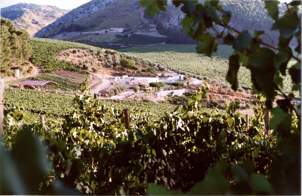 Agriturismo Tenute Pispisa Segesta Villa Calatafimi Kültér fotó