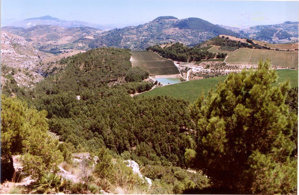 Agriturismo Tenute Pispisa Segesta Villa Calatafimi Kültér fotó