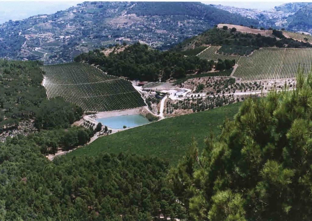 Agriturismo Tenute Pispisa Segesta Villa Calatafimi Kültér fotó