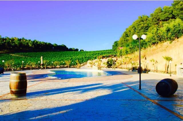 Agriturismo Tenute Pispisa Segesta Villa Calatafimi Kültér fotó